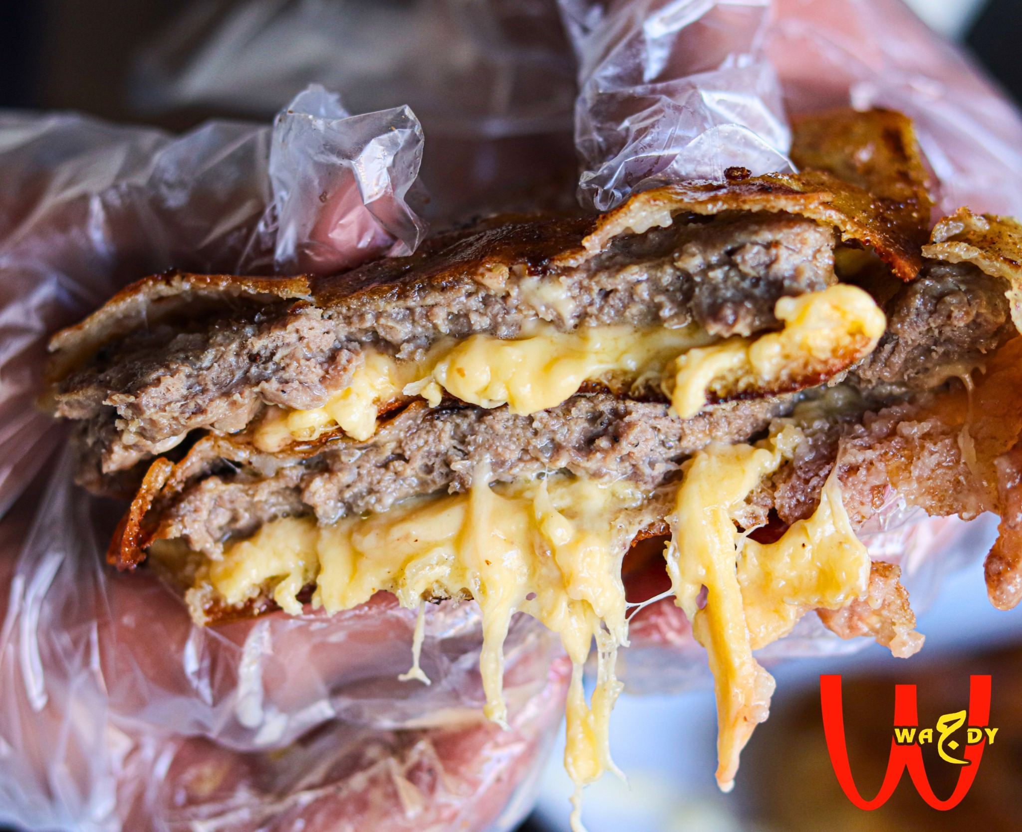 حواوشى ميكس جبن